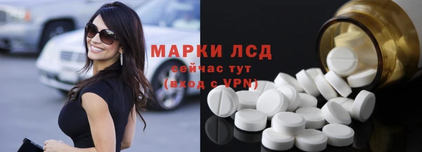 прущие грибы Алексеевка