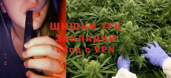 прущие грибы Алексеевка