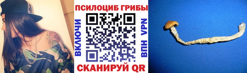 Галлюциногенные грибы мицелий  даркнет сайт  Чухлома 